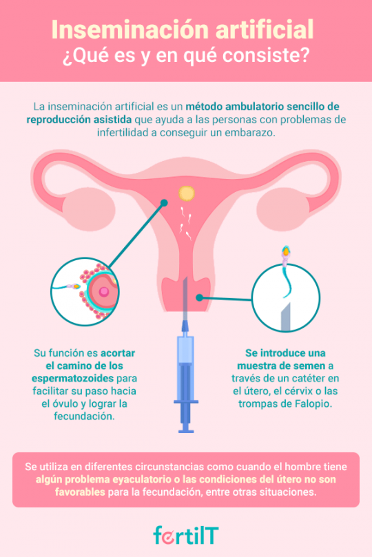 Inseminación Artificial en México Todo lo que necesitas saber