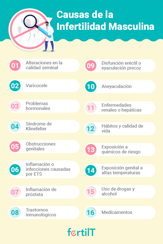 Infertilidad Masculina Qu Es Causas Y Tipos