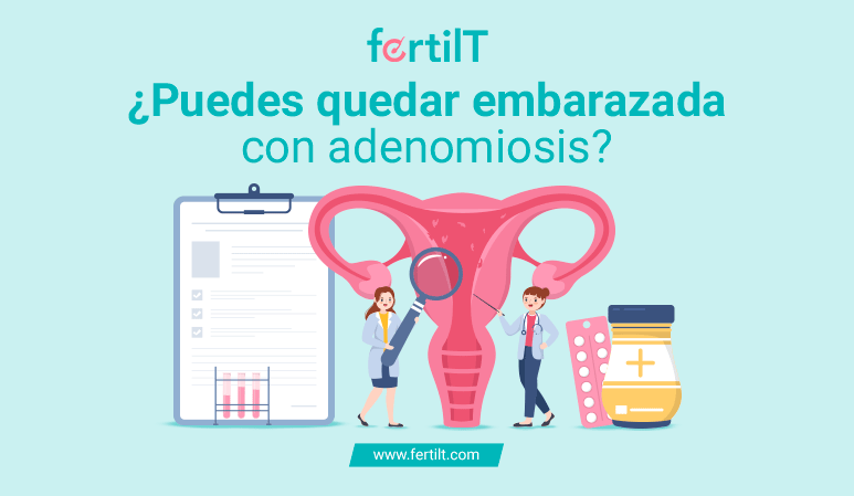 Portada del artículo Puedes quedar embarazada con adenomiosis