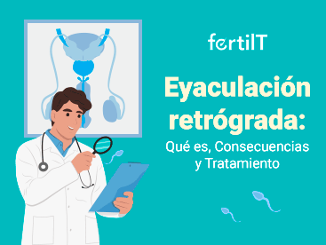 Portada mini del artículo Eyaculación retrógrada: Qué es, Consecuencias y Tratamiento