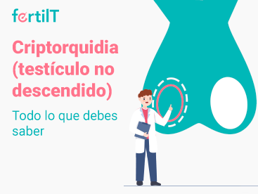 Portada mini del artículo Criptorquidia (testículo no descendido) Todo lo que debes saber
