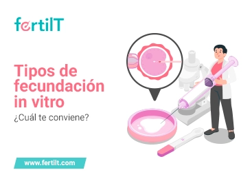 Portada de artículo tipos de fecundación in vitro
