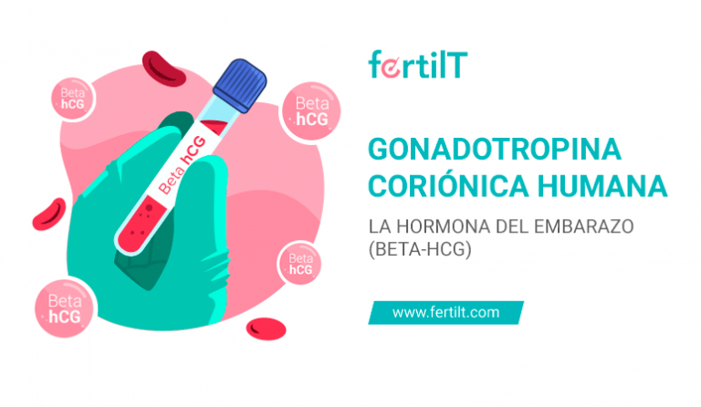 Gonadotropina Coriónica Humana: La Hormona Del Embarazo (beta-hCG)