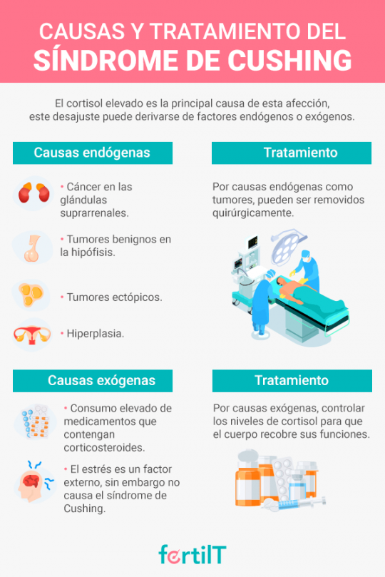 Síndrome De Cushing Qué Es Síntomas Y Tratamiento