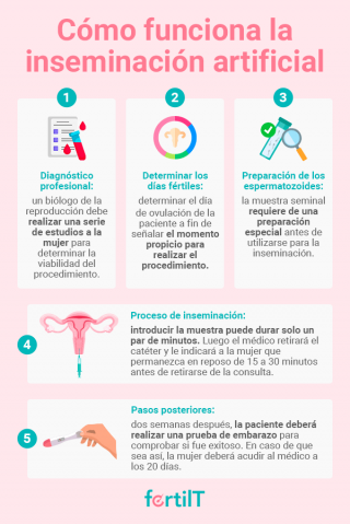 ¿Cómo Se Hace La Inseminación Artificial?