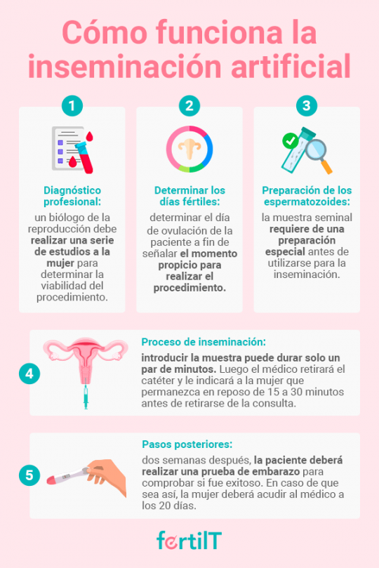 ¿cómo Se Hace La Inseminación Artificial