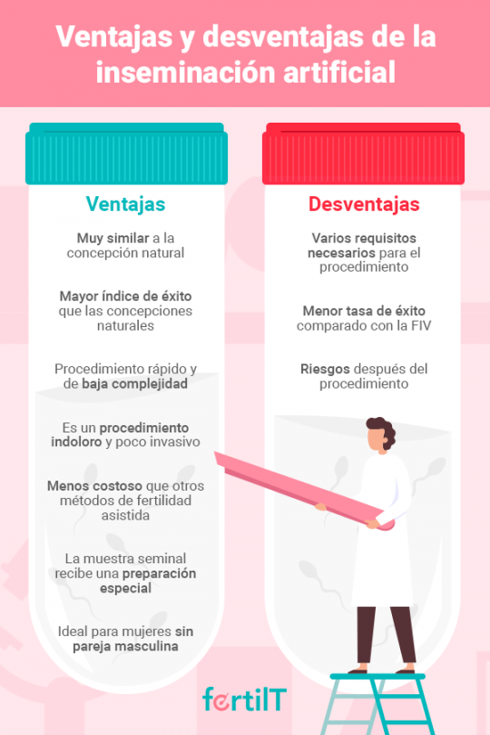 Ventajas Y Desventajas De La Inseminación Artificial