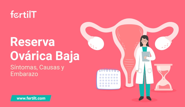 Portada del artículo Reserva Ovárica Baja: Síntomas, Causas y Embarazo