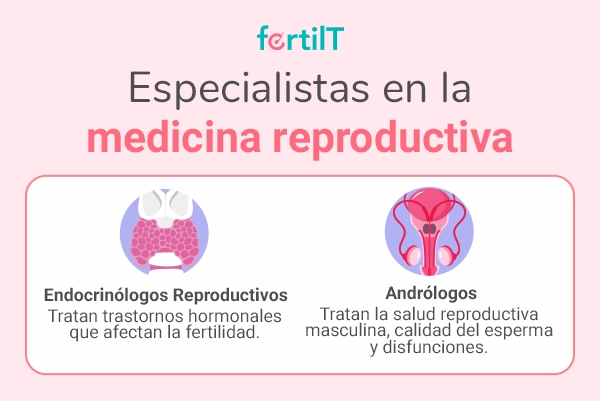 Endocrinólogos reproductivos y andrólogos, dos especialistas que pueden ayudar a saber si una persona es infértil