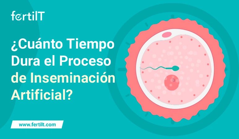 Óvulo fecundado como portada del artículo ¿Cuánto Tiempo Dura el Proceso de Inseminación Artificial?