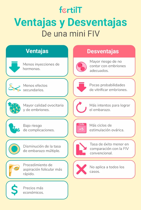 Ventajas y desventajas de la mini FIV en infografía amarilla