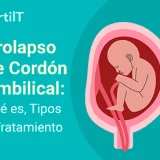 Feto dentro del útero con prolapso del cordón umbilical, portada miniatura