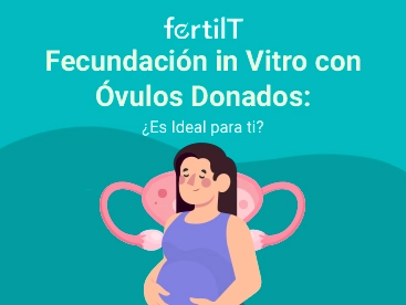 https://www.fertilt.com/wp-content/uploads/2024/11/fecundacion-in-vitro-con-ovulos-donados-miniatura.webp