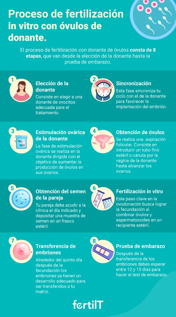 Etapas del proceso de fecundación in vitro con óvulos donados en infografía de color verde-azul