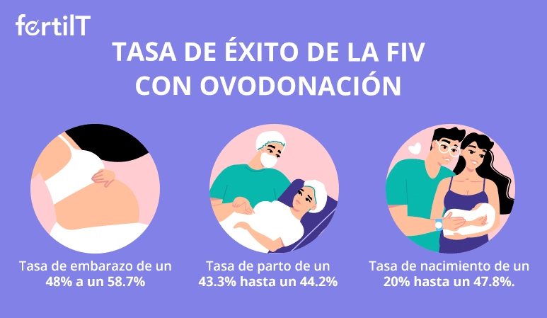 Tasas de éxito de la fecundación in vitro con ovodonación en infografía de color violeta 