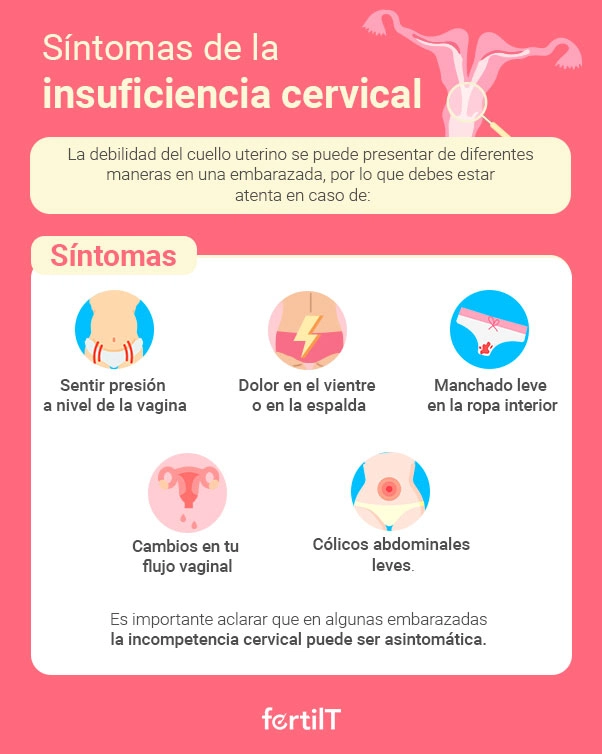 síntomas de la insuficencia cervical listado de sintomas