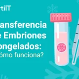 Métodos para realizar transferencia de embriones congelados